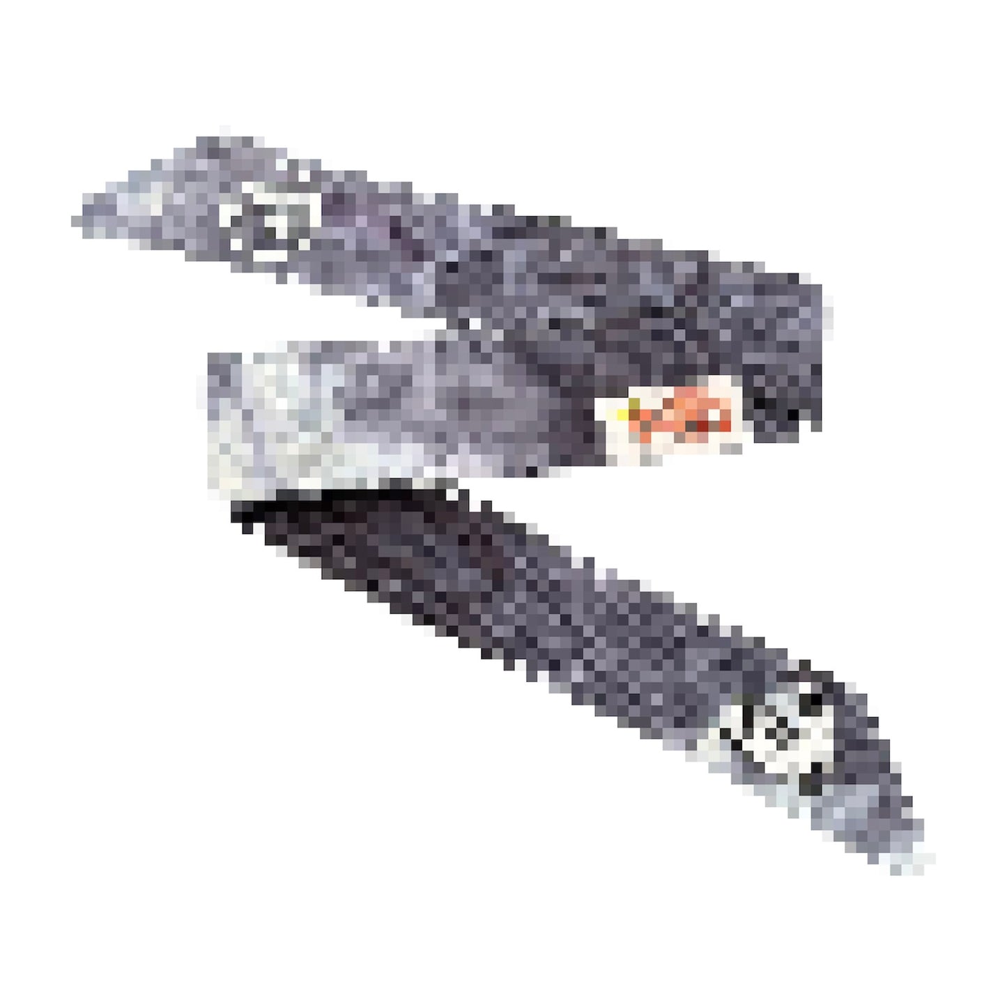 KINGS x TWSTR - ████████ Headband